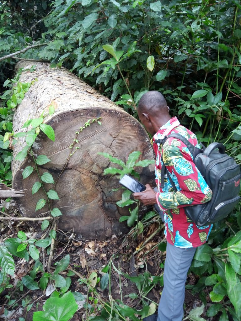 Monitoring communautaire pour une gouvernance forestière participative